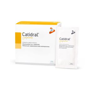 Catidral